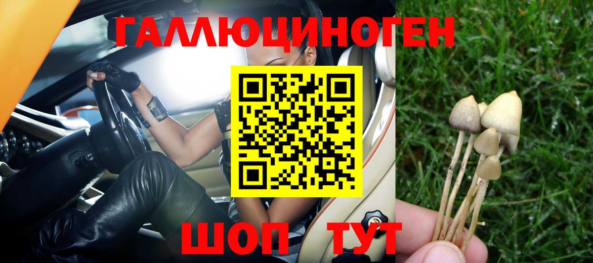 Галлюциногенные грибы GOLDEN TEACHER Спасск-Дальний